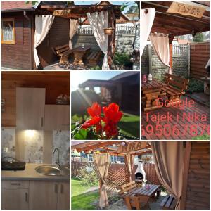 Zdjęcie z galerii obiektu Tajek w Stegnie