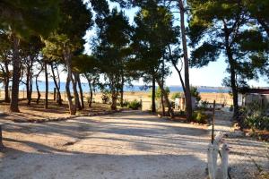 droga z drzewami i plaża w tle w obiekcie Riserva Monte Cofano w mieście Castelluzzo