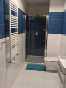 a bathroom with a shower and a toilet and a sink at Apartament niebieski w kompleksie 5 Morz in Sianozety