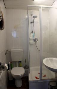 a bathroom with a shower and a toilet and a sink at appartement-stetten in Stetten