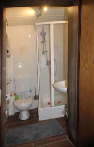 a bathroom with a shower and a toilet and a sink at appartement-stetten in Stetten