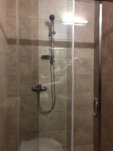 a shower stall with a glass door with a shower at Hotel Holiday in Eforie Nord