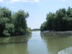 Fotografie z fotogalerie ubytování Pensiunea Anca v destinaci Crisan + 54 fotografií