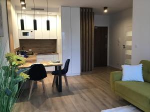 Gallery image of Apartament Słoneczny z klimatyzacją i garażem in Toruń