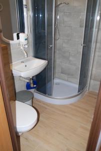 a bathroom with a shower and a sink and a toilet at Willa Anna in Szczawno-Zdrój