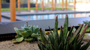 Bazén v ubytování QUARTZ HOTEL & SPA nebo v jeho okolí