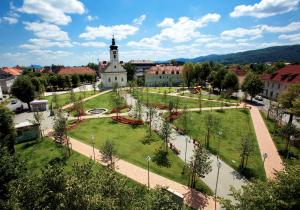 Příroda nedaleko apartmánu