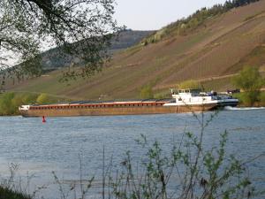 Gallery image of B&B Briedel in Briedel