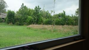 una ventana con vistas a un campo de césped y árboles en Bêd en Brochje de Hollen, en Ryptsjerk