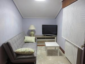 uma sala de estar com um sofá e uma televisão em Estancia Edurne em Mungia