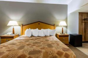 a bedroom with a large bed with two night stands at Lotus by Hotel Inn - Hot Springs in Hot Springs
