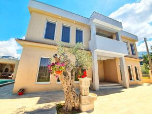 巴尔Vila Uma的门前有鲜花的房子