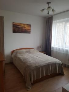 Gallery image of Amber family apartment in Kaunas