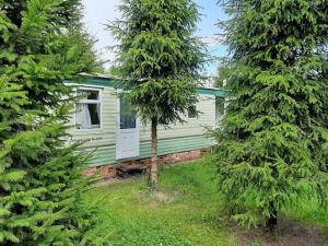 zielony dom pośrodku dwóch drzew w obiekcie Domek angielski w Białowieży
