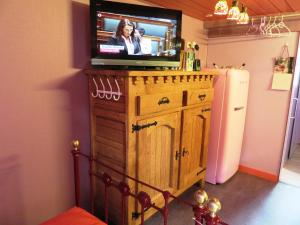 TV en la parte superior de un armario de madera con nevera en Forgatz' Studio en Bruges
