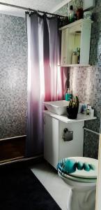 La salle de bains est pourvue d'un lavabo et de toilettes. dans l'établissement Sunny Side Fruska Gora -touristic estate, à Velika Remeta