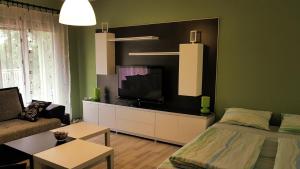 a living room with a bed and a flat screen tv at BANJSKI PUT in Niš