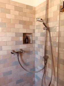 eine Dusche mit Glastür im Bad in der Unterkunft Katjas Kate Gartenwohnung in Prerow