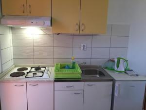a kitchen with a sink and a stove top oven at Studio Apartments MT in Šmrika