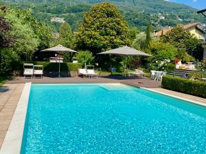 a large blue swimming pool with chairs and umbrellas at IRIS 2 lago di Como in Dongo