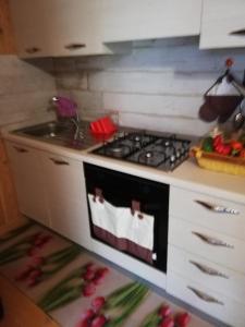 a kitchen with a stove and a sink at Lupetta in Lacona