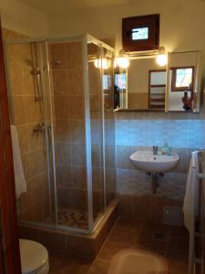a bathroom with a shower and a sink at Cabana Bavaria in Sovata