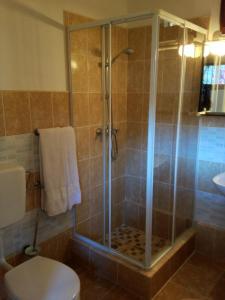 y baño con ducha, aseo y lavamanos. en Cabana Bavaria, en Sovata