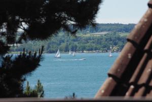 a group of sailboats on a large body of water at Am Strandweg in Überlingen