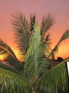O pôr ou nascer do sol visto do hotel ou dos arredores