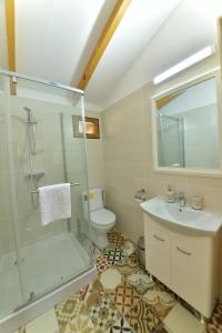 a bathroom with a shower and a toilet and a sink at LA LIVADA in Valea Danului