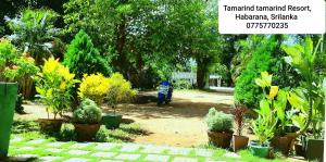 Zahrada ubytování Tamarind Tamarind Resort, Tourist Board Approved
