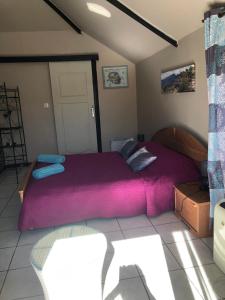 a bedroom with a large bed with purple sheets at Les Aubepines in La Plaine des Palmistes