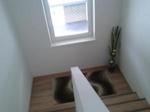 Domácí mazlíčci ubytovaní s hosty v ubytování Haus Senel