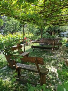 three park benches sitting under a tree in a park at Chardak Apartments in Ohrid