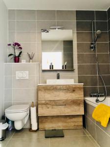W łazience znajduje się umywalka, toaleta i lustro. w obiekcie Appartement cocooning - Grande terrasse - bain nordique-Sauna - DOMAINE DU PATRE w mieście Vaujany