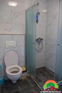 a bathroom with a toilet and a glass shower stall at Apartmani Pantovic - Apartman 2 in Trebinje