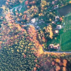 una vista aerea di una foresta piena di alberi di Ferienhaus Waldidyll a Lemgo