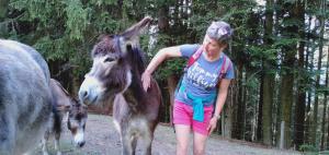 Zvieratá na farme alebo blízkom okolí