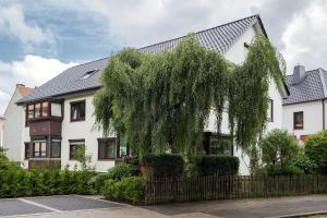 a white house with a tree in front of it at Stadtoase in Bremerhaven