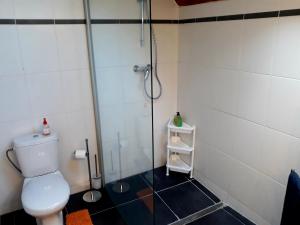 a bathroom with a toilet and a glass shower at Vakantiewoning FINE FLEUR in Bruges