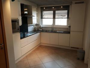 ブルージュにあるVakantiewoning FINE FLEURのシンクと電子レンジ付きのキッチン