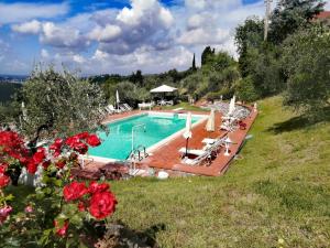 an image of a swimming pool in a villa at Agriturismo Montemari in Palaia