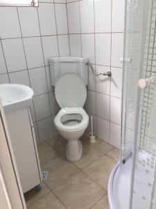 a small bathroom with a toilet and a shower at Vila Sunrise in Vama Veche