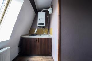 Zimmer mit einem Waschbecken und einer Mikrowelle im Dachgeschoss in der Unterkunft Апартаменти з сучасним ремонтом в центрі (площа Митна) in Lwiw