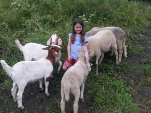 Fotografie z fotogalerie ubytování Haus Claudia v destinaci Sankt Gallenkirch + 8 fotografií