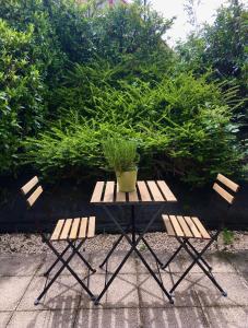 uma mesa e duas cadeiras com um vaso de plantas em Studio en face Hopital Nord avec terrasse em Saint-Priest-en-Jarez