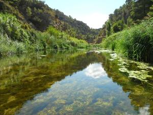 a river with a reflection in the water at Casa Carmela in Calaceite