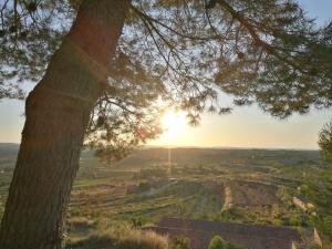 a view of the sun setting over a field with a tree at Casa Carmela in Calaceite