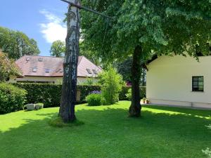 zwei Bäume im Hof eines Hauses in der Unterkunft Bad Saarow Ferienhaus Am Hafen in Bad Saarow