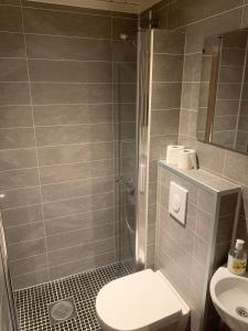 a bathroom with a shower and a toilet and a sink at Skei Apartments in Svingvoll +55 photos